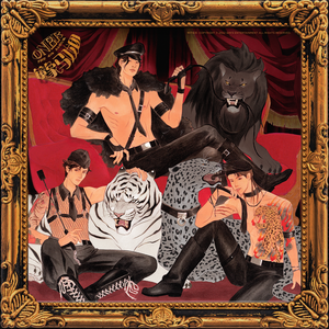 运维个性小狼导航
