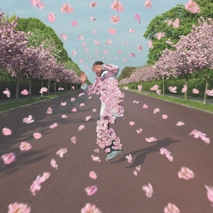 运维个性小狼导航
