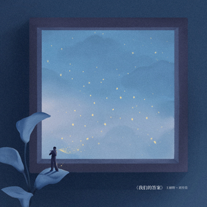 运维个性小狼导航
